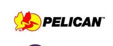 Pelican